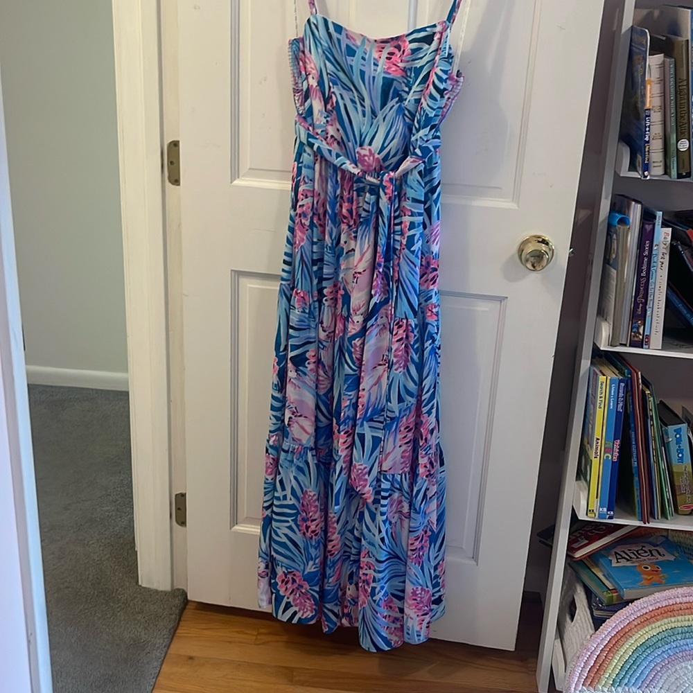 Lilly Pulitzer aviana maxi dress